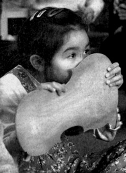 Exploring a violin back with all her senses…